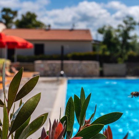 Agriturismo Il Tripesce Vada Eksteriør bilde