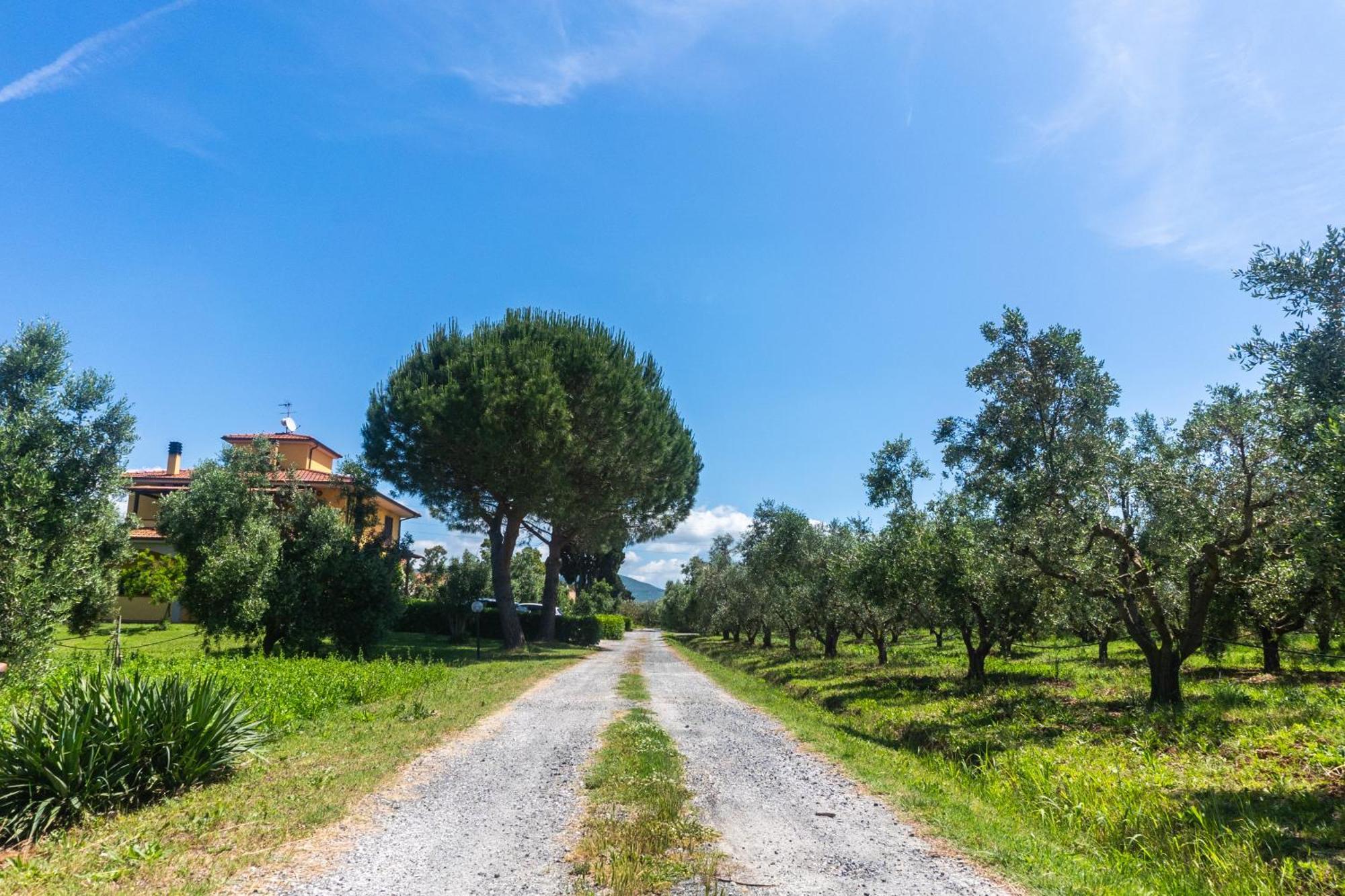 Agriturismo Il Tripesce Vada Eksteriør bilde