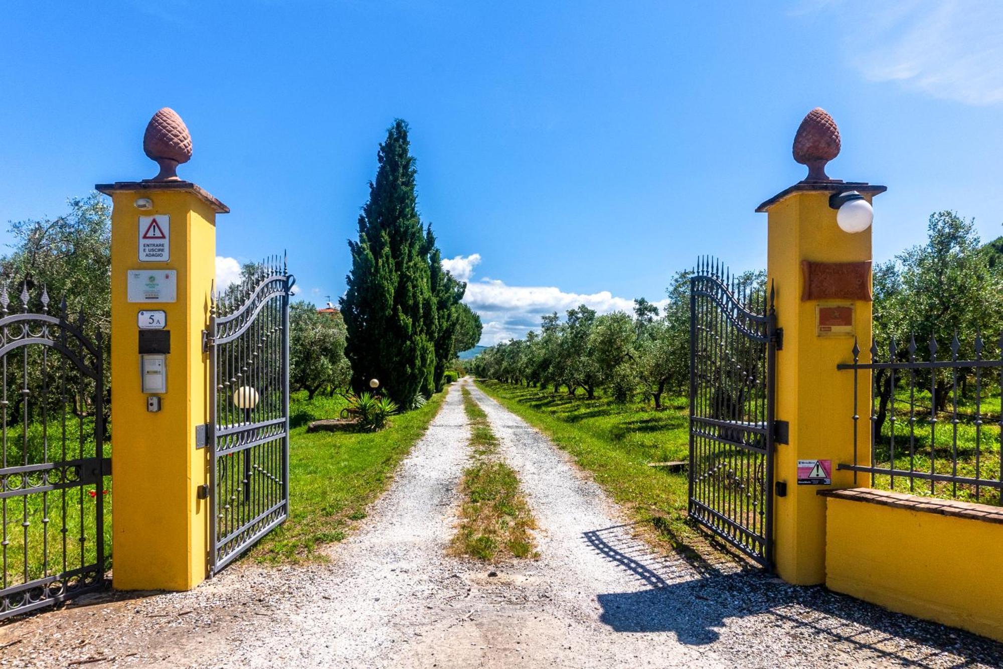 Agriturismo Il Tripesce Vada Eksteriør bilde
