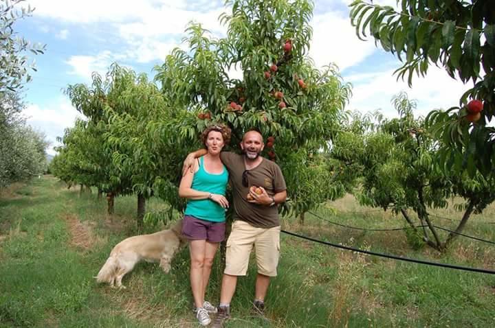 Agriturismo Il Tripesce Villa Vada Eksteriør bilde