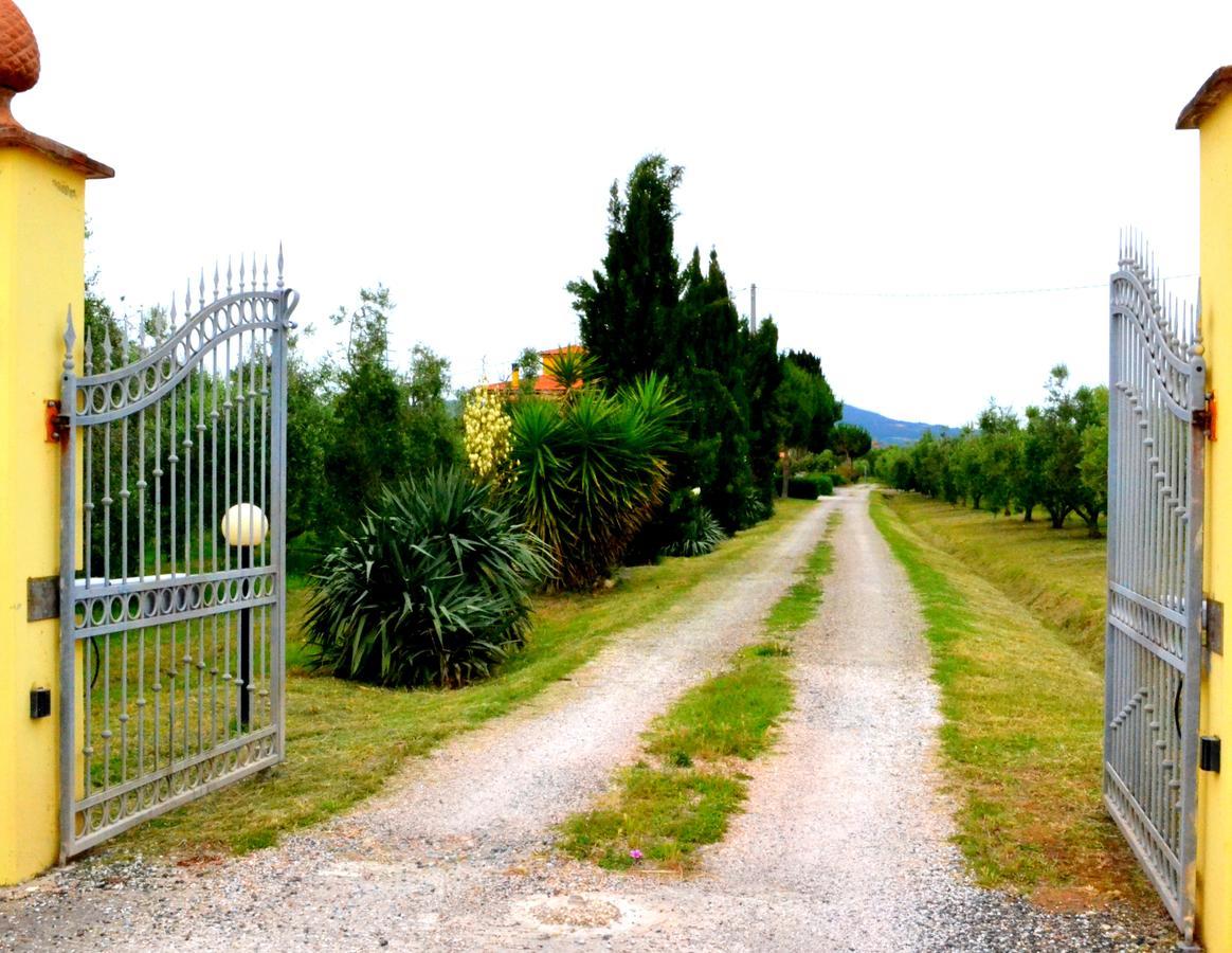 Agriturismo Il Tripesce Villa Vada Eksteriør bilde