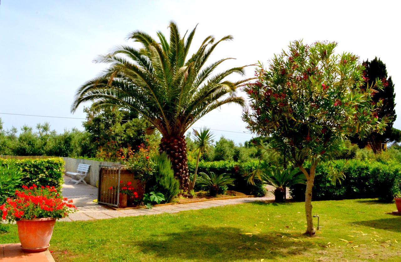 Agriturismo Il Tripesce Vada Eksteriør bilde